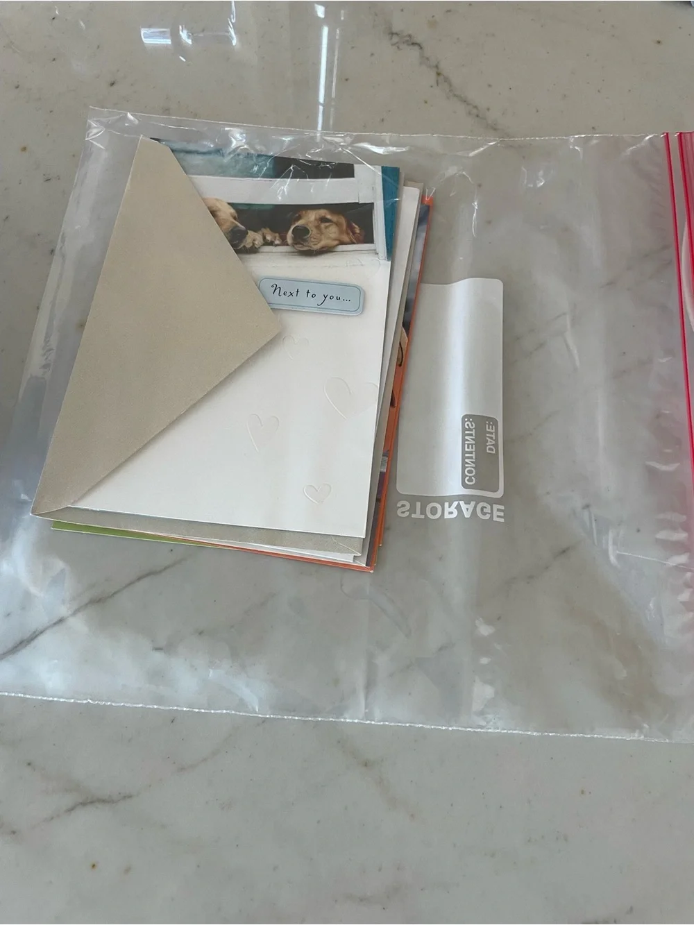 Lot Of Four Greeting Cards And Envelopes: Cats, Dogs, Halloween & Anniversary